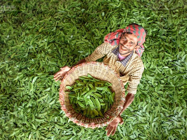 Season of Vegetables